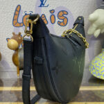 Louis Vuitton Loop Hobo M46725 M46739